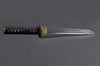 Dragon Tanto — 1045 Carbon Steel, Hand Forged, Full Tang, Battle Ready