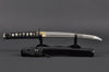 Dancing Crane Tanto — 1080 High Carbon Steel, Hand Forged, Full Tang, Battle Ready