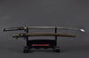 Tide Rider Katana — 1045 Carbon Steel, Hand Forged, Full Tang, Battle Ready