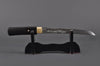 Dragon Horimono Tanto — 1095 High Carbon Steel, Clay Tempered, Hand Forged, Full Tang, Battle Ready