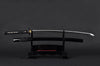 Guardian Katana Iaito — Stainless Steel, Iaido Training Sword, Unsharpened